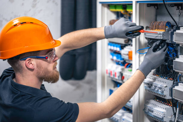 Best Electric Panel Repair  in Sheboygan Falls, WI